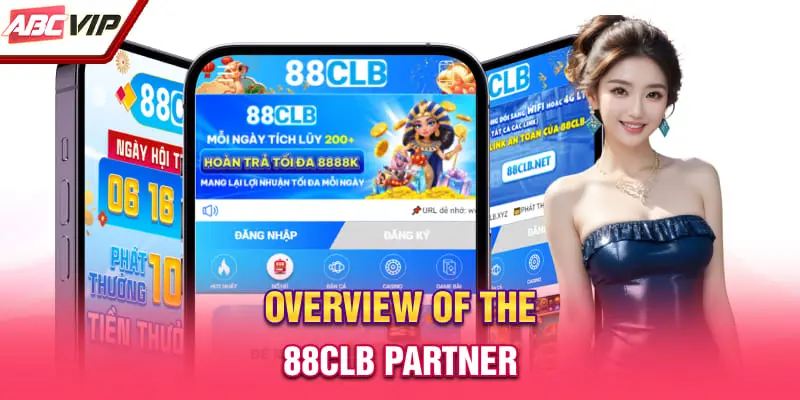 Overview of the 88CLB partner
